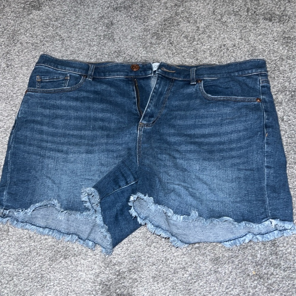 Loft shorts frayed at the bottom - 4in